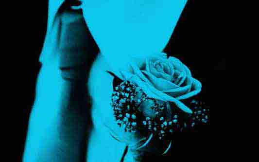 Magicien Mariage